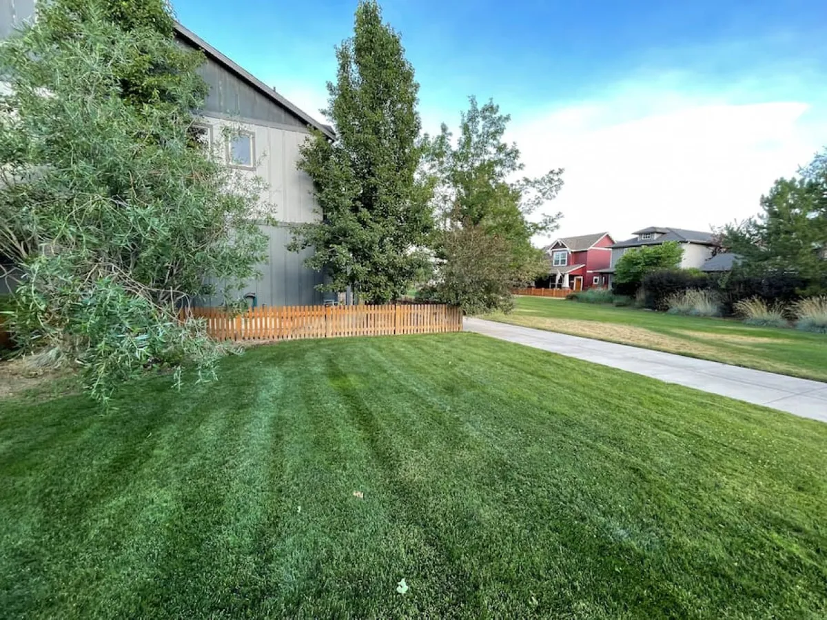 A vibrant backyard scene with a lush green lawn, wooden fence, and trees providing a private yet open space. The area is ready for family gatherings, outdoor barbecues, and lawn games, offering a sense of togetherness and relaxation.