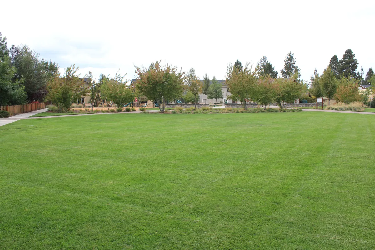 A spacious park area with lush green grass, mature trees lining the background, and a pathway perfect for dog walks. The open space suggests opportunities for games, picnics, and especially walking or playing with pets.